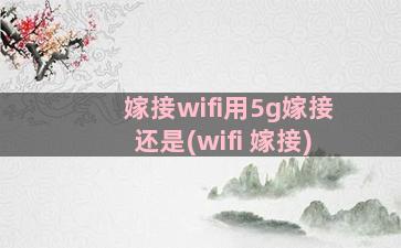 嫁接wifi用5g嫁接还是(wifi 嫁接)